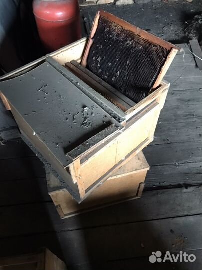 Ящики для транспортировки пчел