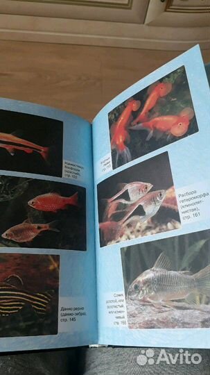 Книга- справочник. Популярные аквариумные рыбки