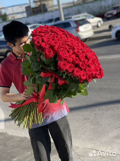 Цветы роза красная 51шт