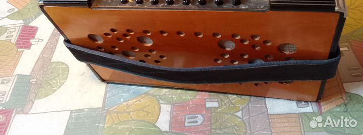 Гармонь Вологодская