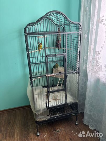 Большая клетка для птиц