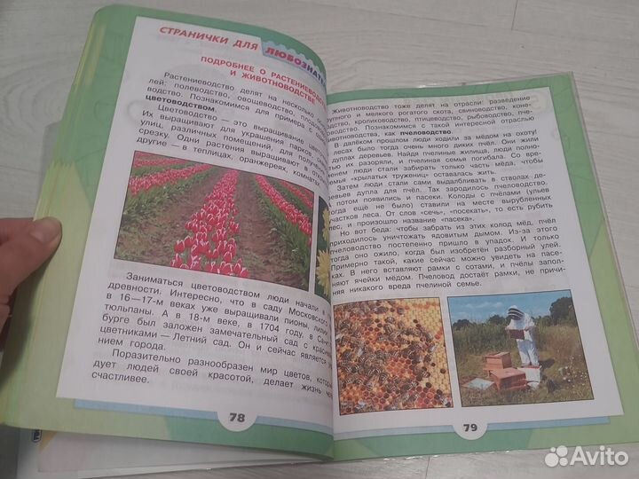 Окружающий мир 3 класс Плешаков