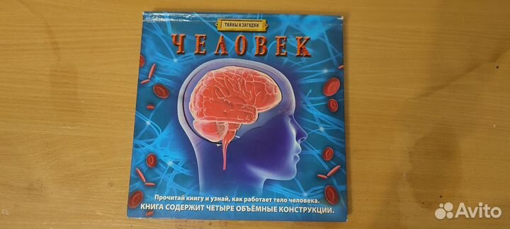 Книга по анатомии человека, для детей