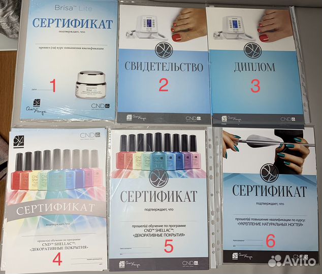 Бланк диплома Cnd