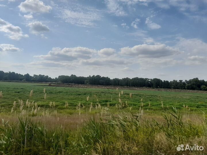 Сторож с проживанием