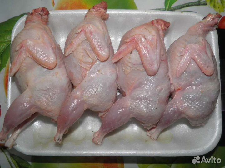 Мясо перепелов