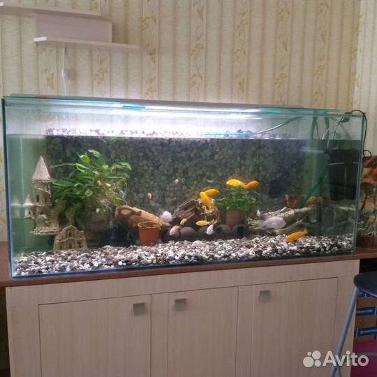 Аквариум 600 литров