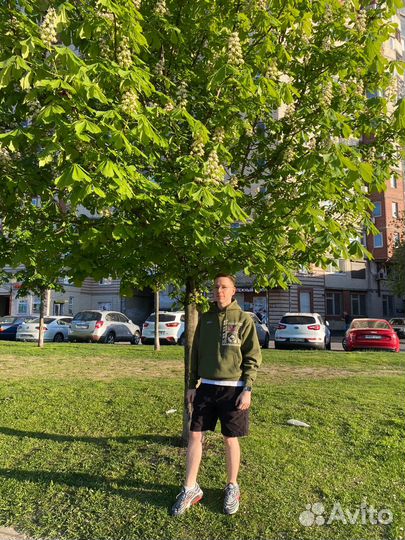 Репетитор по истории и обществознанию