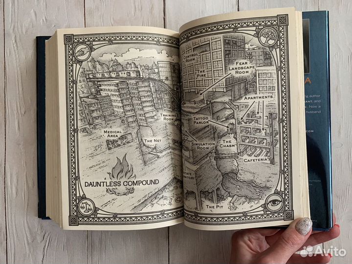 Вероника Рот - Дивергент / Divergent Collector’s