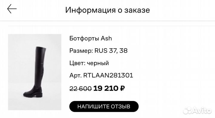 Ash ботфорты 38