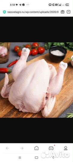 Мясо домашнего бройлера