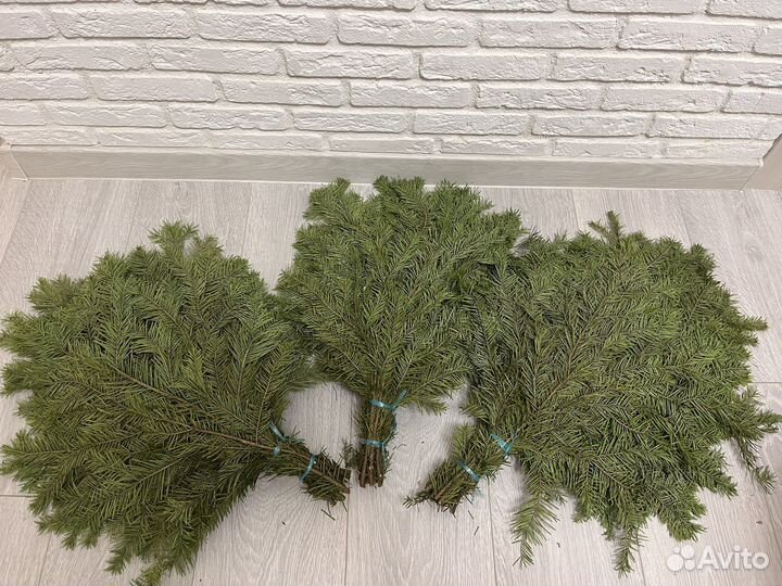 Пихтовые веники