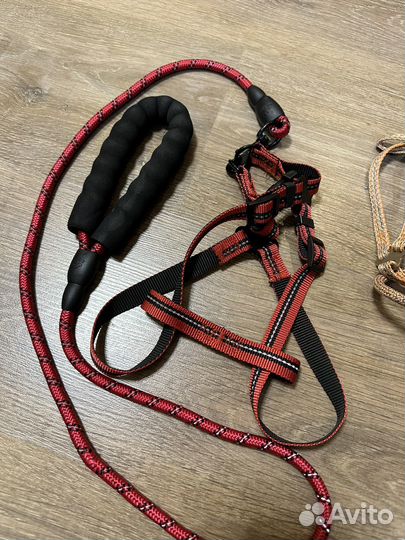Поводок со шлейкой для маленьких собачек и щенков