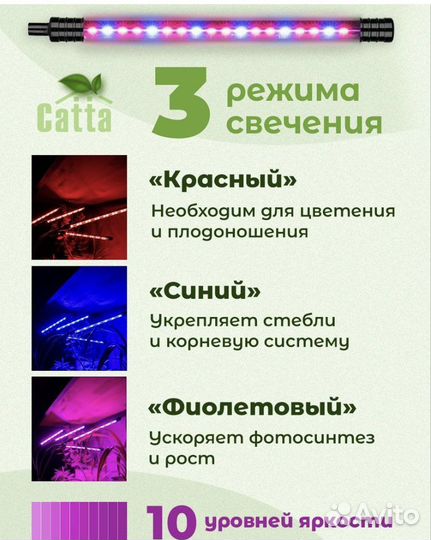 Фитолампа для растений