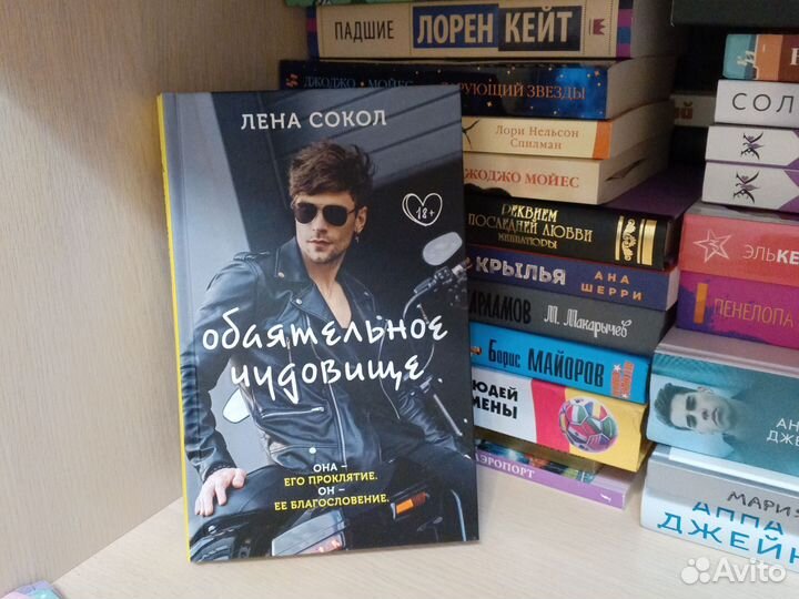 Книги Лены сокол