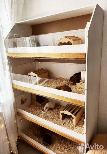 Стеллаж-витрина для морских свинок и др.животных