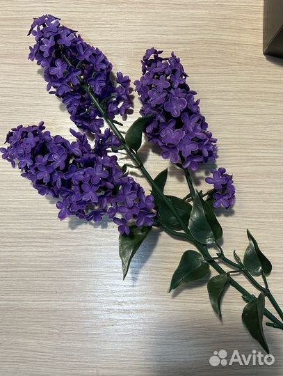 Сирень для интерьера