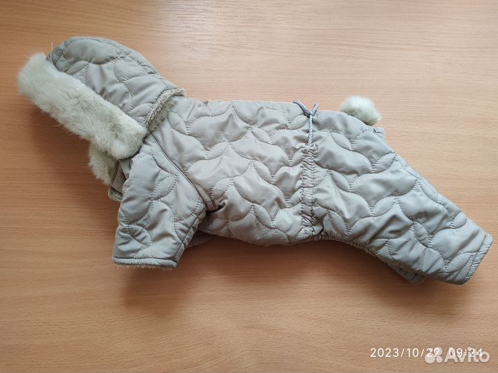 Одежда комбинезон для собаки чихуа или той