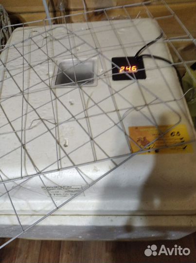 Инкубатор несушка