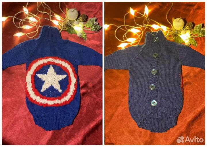 Одежда для питомцев