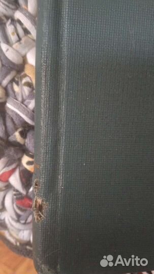 Бисмарк Демидова Бернштейн Кони