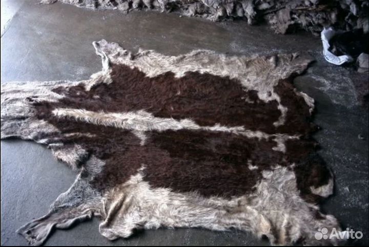 Шкуры крс заготовитель