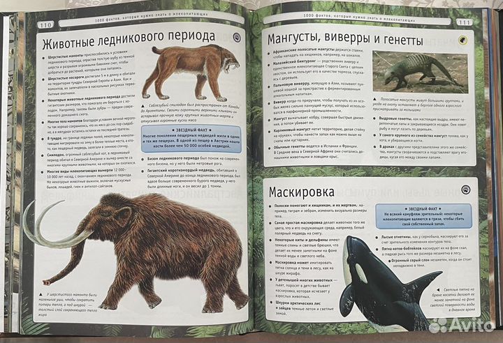 Книга энциклопедия