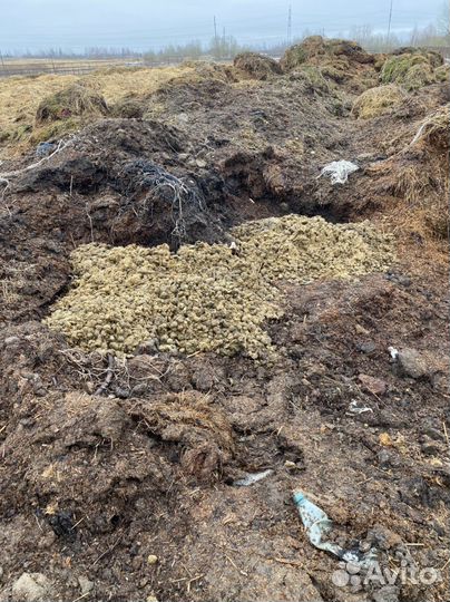 Навоз, компост бесплатно