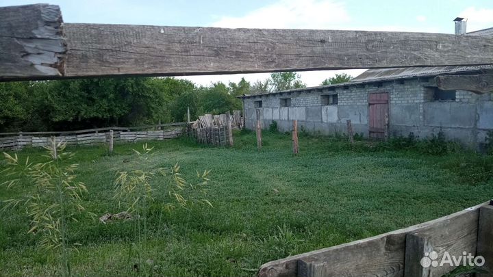 Ферма коровник