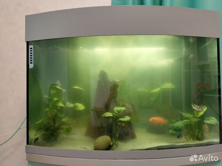 Аквариум с тумбой 140 литров