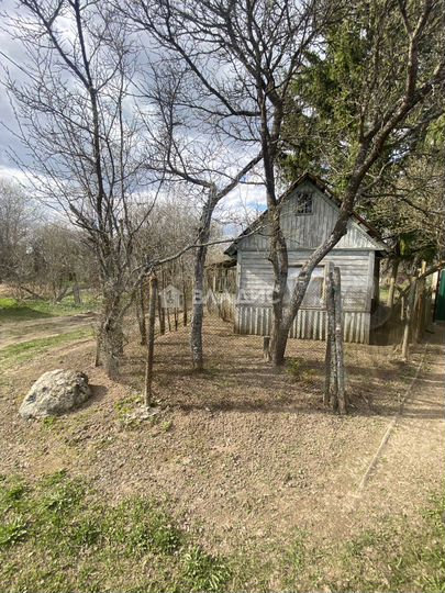 Участок 5,5 сот. (СНТ, ДНП)