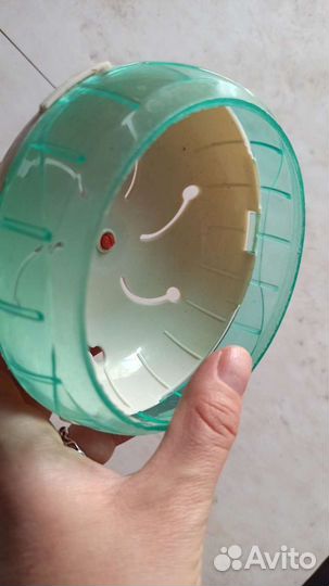 Разные товары для мелких грызунов