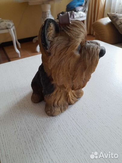 Йоркширский терьер