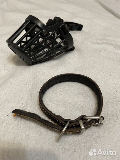 Намордник для маленькой собаки