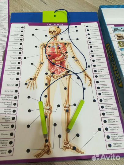 Электронная очень познавательная энциклопедия для