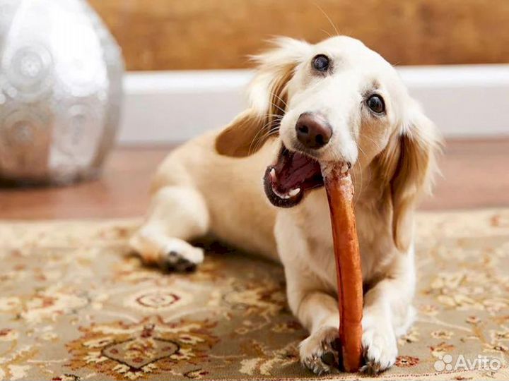 Вкусняшки для собак. Сертифицированные