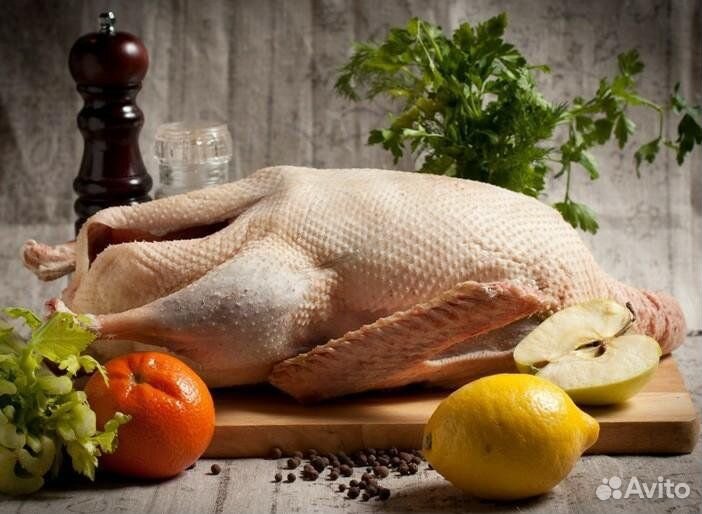 Гусь домашняя мясо