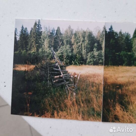 Трава на сено