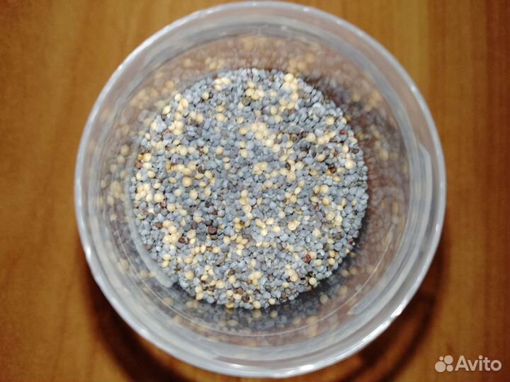 Корм для муравьëв