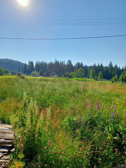 Дом 60 м² на участке 20 сот.