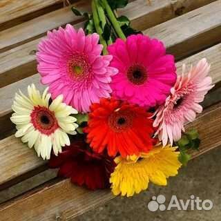 Букет из гербер