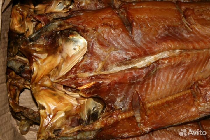 Толстолобик, жерех х/к