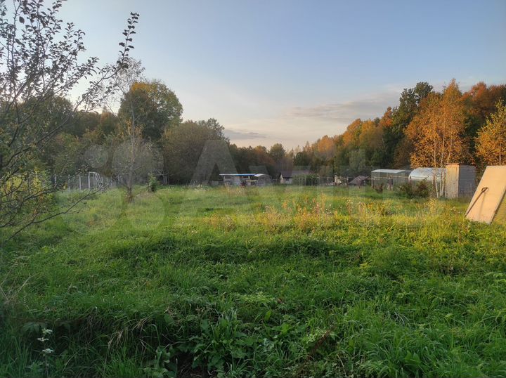 Участок 50 сот. (ИЖС)