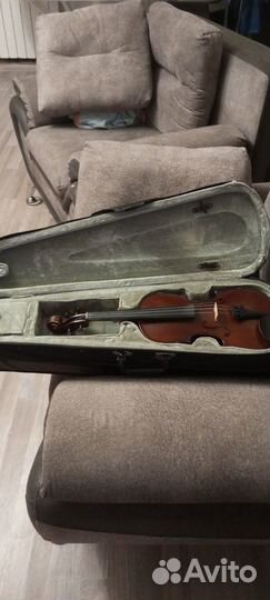 Скрипка 1/2