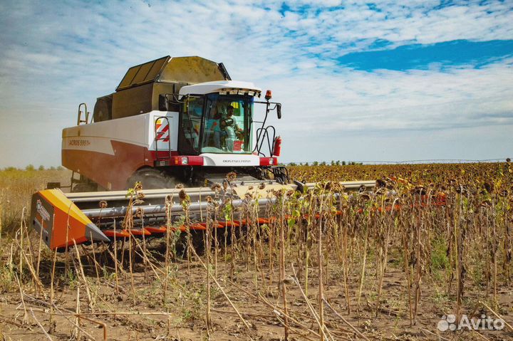 Жатка Orange Seed SFH 7800, 2023