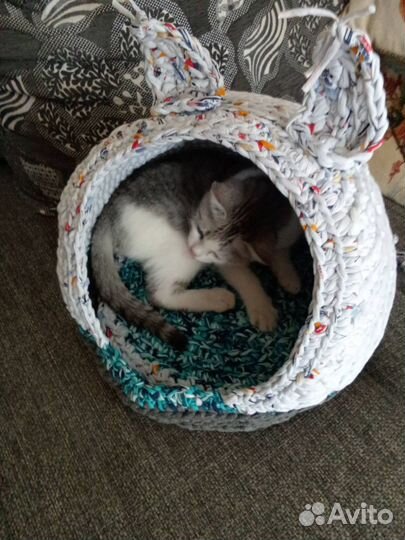 Кошачий домик