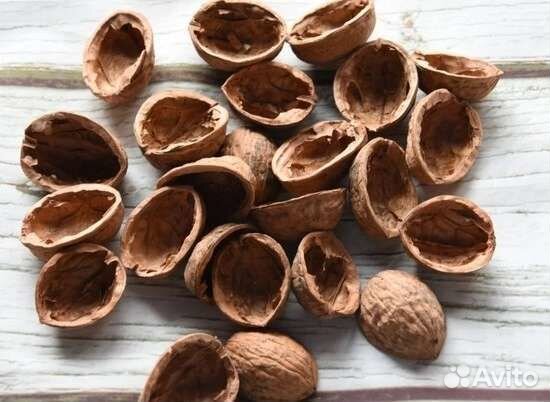 Скорлупа грецк ореха,жёлуди,шишки и др.на поделки