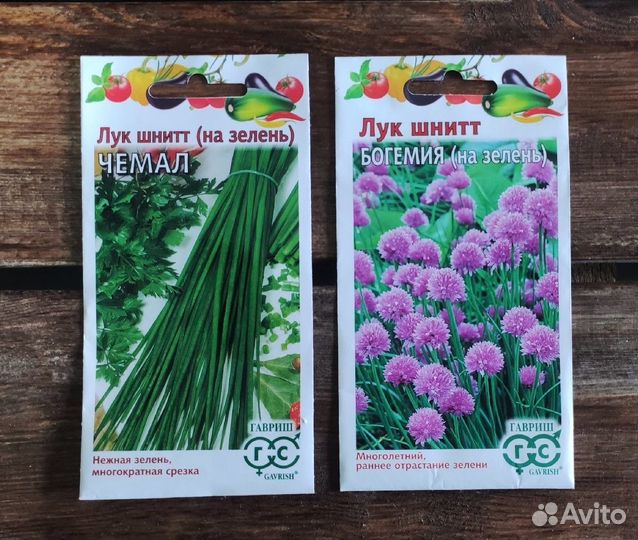 Семена лука