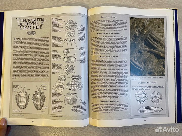 Доисторический мир. Oxford. росмэн, 1995г