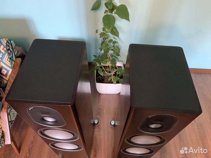 Напольная акустика Monitor Audio Gold 300 5g